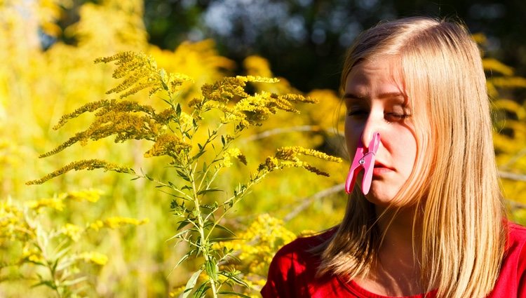 En el mes de mayo, los Piscis podrán sufrir alguna alergia o problema de salud