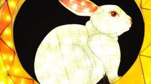 Horóscopo chino 2015: Conejo